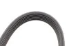 Пас поликлиновый Nissan Murado 2.5 16-/Opel Fronte Contitech 6PK1850 (фото 4)
