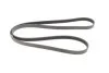 Пас поликлиновый Nissan Murado 2.5 16-/Opel Fronte Contitech 6PK1850 (фото 5)