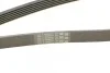 Дорожный пас Contitech 6 PK 2035 (фото 4)
