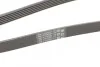 Доріжковий пас Contitech 6 PK 2050 (фото 3)