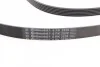 Пас поликлиновый MB S-class (W221/W222)/E-class (W Contitech 6PK2528 (фото 2)