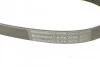 Пас поликлиновый Contitech 6PK2535 (фото 4)