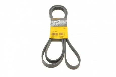 Пас поликлиновый Contitech 6PK2535