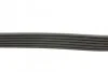 Доріжковий пас Contitech 6 PK 691 ELAST (фото 2)