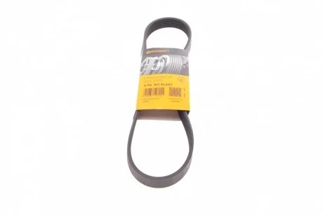 Дорожный пас Contitech 6 PK 831 ELAST