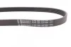 Доріжковий пас Contitech 6 PK 905 EXTRA (фото 2)