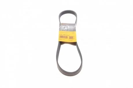 Дорожный пас Contitech 6 PK 989 ELAST