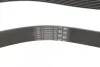 Пас поликлиновый Iveco Daily VI 2.3D 14- Contitech 7PK1338 (фото 3)