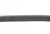 Пас поліклиновий Renault Clio 1.2 16V 05-14 Contitech 7PK880 (фото 2)