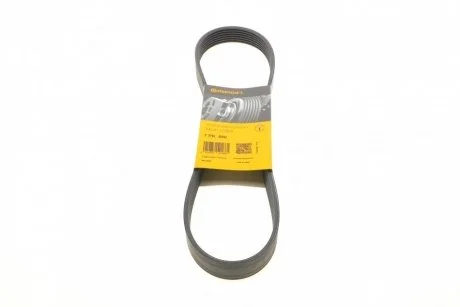 Пас поликлиновый Renault Clio 1.2 16V 05-14 Contitech 7PK880