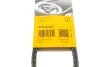 Ремінь генератора Hyundai Accent 00-10/Kia Cerato/Rio 1.4-1.6 04- Contitech AVX13X670 (фото 6)