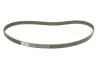 Комплект ГРМ + помпа Audi A3/A4/A5/VW Caddy IV/Golf VII/Passat/Tiguan/Touran 1.4TSI 15- (20x163z) Contitech CT1167WP2PRO (фото 2)