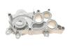 Комплект ГРМ + помпа VW Polo/Skoda Fabia 1.0-1.6 TSI 14- (10x81z/20x163z) Contitech CT1167WP3PRO (фото 12)