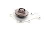 Помпа води Citroen Berlingo/Fiat Scudo 1.6HDI 08- (19z) Contitech WP6014 (фото 2)