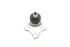 Опора кульова (передня/знизу) Citroen Berlingo/Peugeot Partner 96- (d=18mm) CORTECO 49398691 (фото 4)