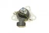 Подушка двигуна (R) Renault Megane I/Scenic I 1.9dTi/dCi 97-03 CORTECO 80001199 (фото 7)