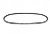 Ремінь генератора VW LT 2.4D/TD -96 DAYCO 10A0813C (фото 2)