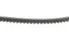 Ремінь генератора BMW 3/VW Passat 1.6TD/1.9D 88-93 DAYCO 10A0960C (фото 4)