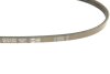 Фото 4 - ремінь генератора Honda Civic IV/ Mazda 626 1.6-2.0 -95 DAYCO 3PK760 Ремінь генератора Honda Civic IV/ Mazda 626 1.6-2.0 -95 DAYCO 3PK760 (фото 4)