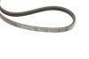Фото 4 - ремінь генератора Fiat Doblo 1.2-1.4 01- DAYCO 3PK915 Ремінь генератора Fiat Doblo 1.2-1.4 01- DAYCO 3PK915 (фото 4)