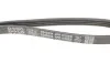 Ремінь генератора Citroen Jumper/Fiat Ducato 3.0HDi/D 06- DAYCO 4PK1102EE (фото 2)