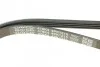 Ремінь генератора Audi A4/A6 2.5TDI 00-05/ Peugeot J5 1.9-2.5 TD 90-94 DAYCO 4PK1215 (фото 5)