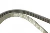Ремінь генератора Renault Clio/Kangoo 1.4i/1.6 98-03 DAYCO 4PK1238 (фото 5)