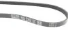Ремінь генератора Honda Civic 1.4/1.6 16V/Nissan Primera 2.0 16V 90-01 DAYCO 4PK845 (фото 2)