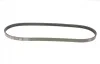 Ремінь генератора Fiat Ducato 2.3JTD 02-14 DAYCO 4PK903EE (фото 4)
