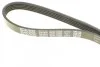 Ремінь генератора Toyota Camry/ Celica/ Rav4 1.8-2.0 83-00 DAYCO 5PK1000 (фото 4)