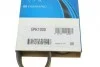 Ремінь генератора Toyota Camry/ Celica/ Rav4 1.8-2.0 83-00 DAYCO 5PK1000 (фото 6)