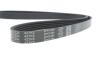 Ремінь генератора Mitsubishi Pajero 1.8/2.0 GDI 99-07/Volvo S40/V40 1.8i 98-04 DAYCO 5PK1084 (фото 4)