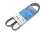Поликлиновый ремень 5PK1150 DAYCO 5PK1150S (фото 2)