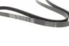 Ремінь генератора VW Passat B5/Audi A4/A6 1.9TDI 98- DAYCO 5PK1435 (фото 2)