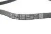 Ремінь DAYCO 5PK1572 (фото 4)