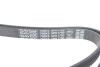 Ремінь генератора Hyundai i10/Kia Picanto 1.1 CRDi 08-/Mitsubishi Colt 1.5 DI-D 04-12 DAYCO 5PK1790 (фото 4)