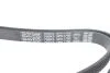 Ремінь генератора Hyundai i10/Kia Picanto 1.1 CRDi 08-/Mitsubishi Colt 1.5 DI-D 04-12 DAYCO 5PK1790 (фото 4)