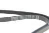 Ремінь генератора Hyundai Tucson 15-/i20/i30/i40/Accent/Kia Ceed/Rio 05-/Sportage 10- (5PK1810) DAYCO 5PK1810S (фото 4)