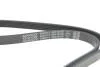 Ремінь генератора Hyundai Tucson 15-/i20/i30/i40/Accent/Kia Ceed/Rio 05-/Sportage 10- (5PK1810) DAYCO 5PK1810S (фото 4)