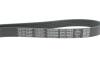Ремінь генератора Fiat Punto/Fiorino 1.4 08- (5PK748) DAYCO 5PK748EE (фото 4)
