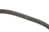 Ремінь генератора Opel Astra/Vectra 1.4/1.6i 88-95 DAYCO 5PK990 (фото 3)