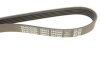 Фото 5 - ремінь генератора Opel Astra/Vectra 1.4/1.6i 88-95 DAYCO 5PK990 Ремінь генератора Opel Astra/Vectra 1.4/1.6i 88-95 DAYCO 5PK990 (фото 5)