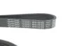 Ремінь генератора Ford Focus/Kuga/C-Max 1.5 EcoBoost 14- DAYCO 6PK1027EE (фото 4)