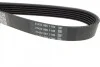 Ремінь генератора VW Caddy 1.9D/SDI -03 (WP,TP) DAYCO 6PK1035 (фото 3)