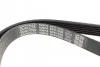 Ремінь генератора VW Caddy 1.9D/SDI -03 (WP,TP) DAYCO 6PK1035 (фото 4)