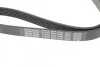 Ремінь генератора Lexus RX 03-08 DAYCO 6PK1040 (фото 4)
