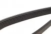 Ремінь генератора VW Caddy III/Golf III/Passat/T4 1.9D/TD (TP) DAYCO 6PK1050 (фото 5)