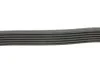 Ремінь генератора VW Crafter 2.0TDI (-AC) DAYCO 6PK1082 (фото 2)