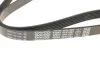 Ремінь генератора VW Golf V/VI/Passat VI/VII/Tiguan/Touran 1.4TSI/FSI/1.6 FSI 03-18 DAYCO 6PK1087 (фото 2)