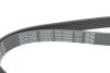 Ремінь генератора Citroen C3/C4/Peugeot 307 1.4-1.6HDi 02- (6PK1090) DAYCO 6PK1090EE (фото 4)